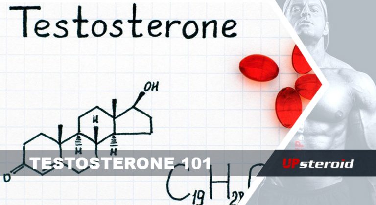 testosteron 101