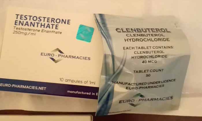 19.11.2019 TOULON FRANKRIKE