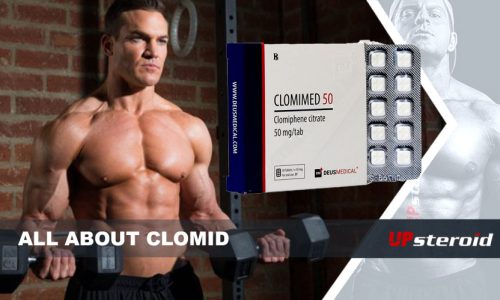 allt om clomid UP