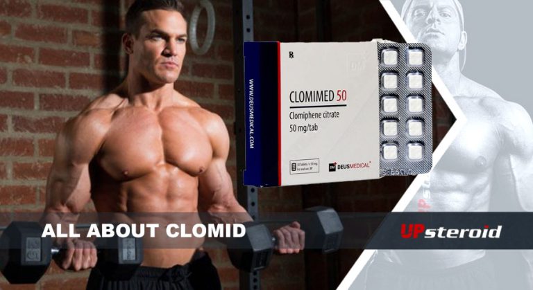 allt om clomid UP