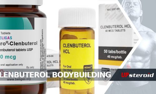 upp blogg clenbuterol bodybuilding