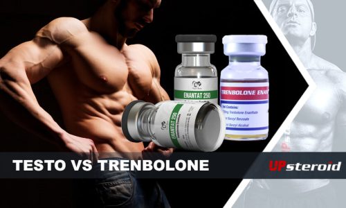 upp blogg testosteron och trenbolon