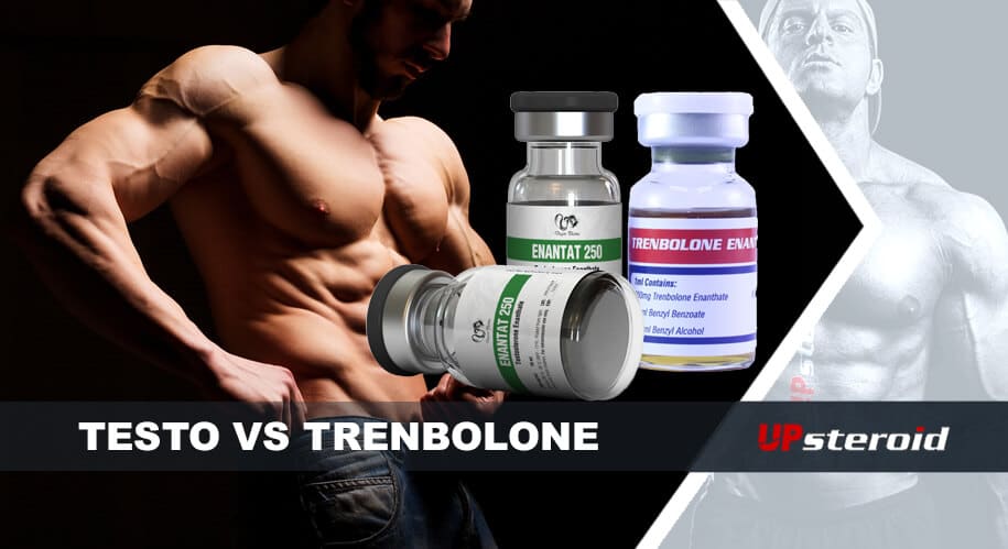 upp blogg testosteron och trenbolon
