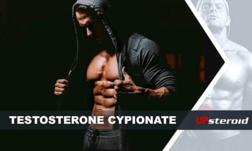upp blogg testosteron cypionat för bodybuilding