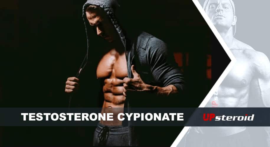 upp blogg testosteron cypionat för bodybuilding