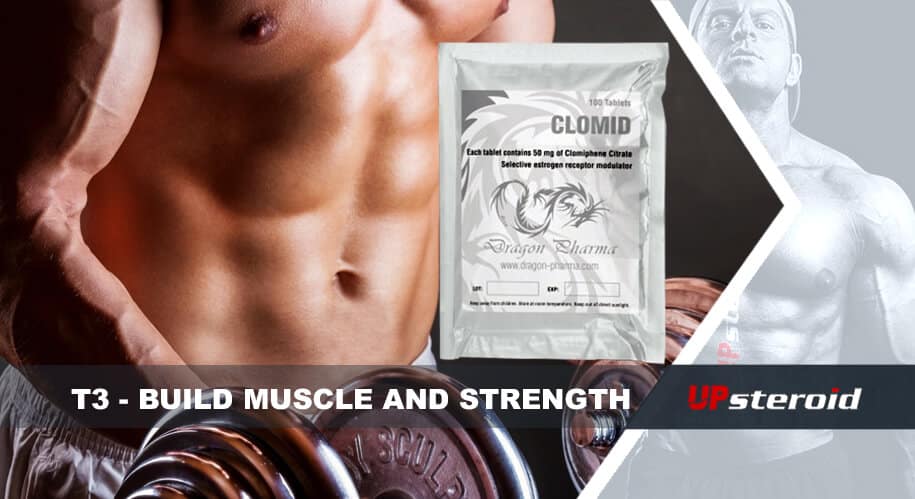 upp blogg t3 bygga muskelstyrka