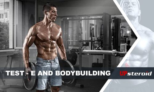 upp bloggtest och bodybuilding