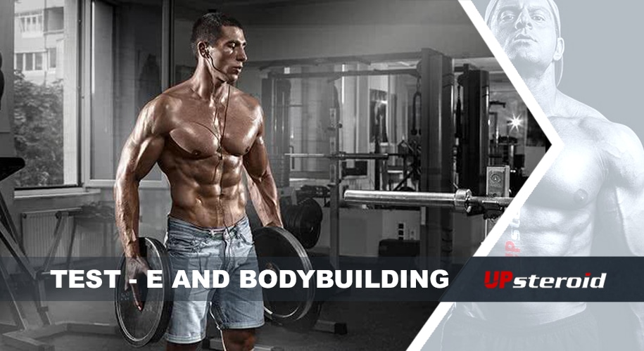 upp bloggtest och bodybuilding