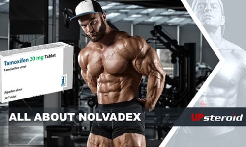 upp blogg om nolvadex-post