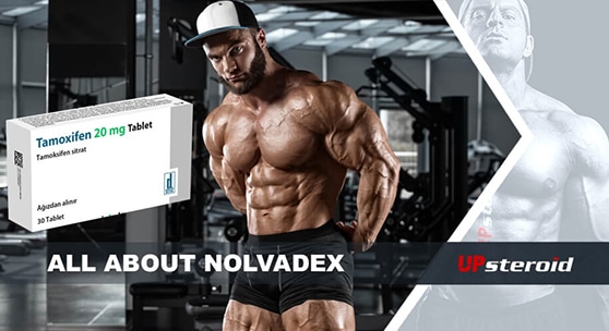 upp blogg om nolvadex-post