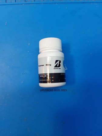 2023 01 10 63bd94e646207 Uppsteroid