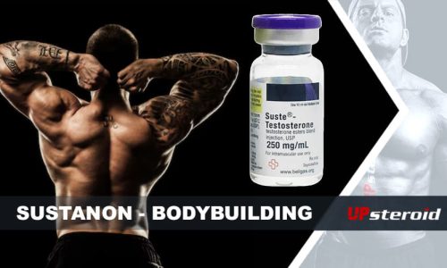 upp blogg susta bodybuilding