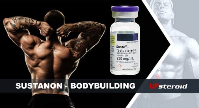 upp blogg susta bodybuilding