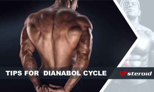 Bloggtips Dianabol-cykeln