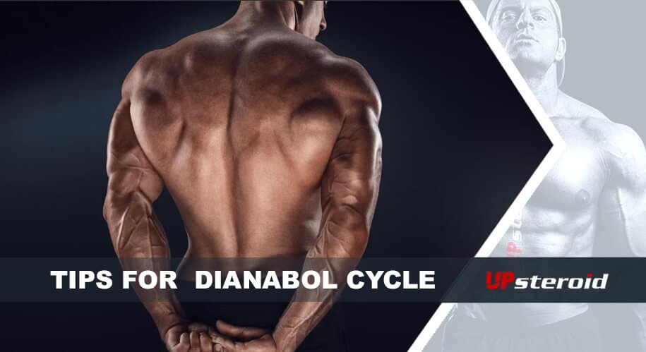 Bloggtips Dianabol-cykeln