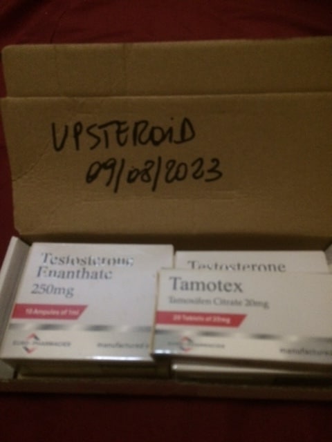 2023 08 09 64d393027bf7e UPP