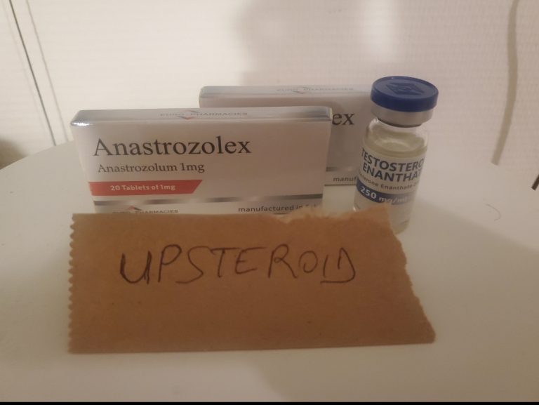 2023 08 23 64e5fdcdb29f6 Skärmdump 20230823 143549 Galleri