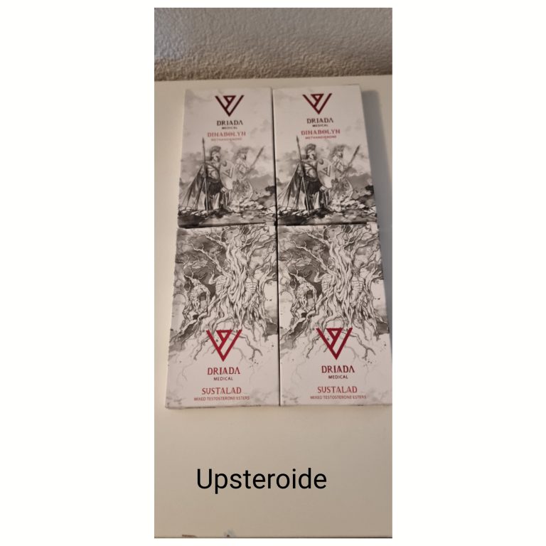 2023 09 13 6501e274f28f5 logotyp9 13 181644