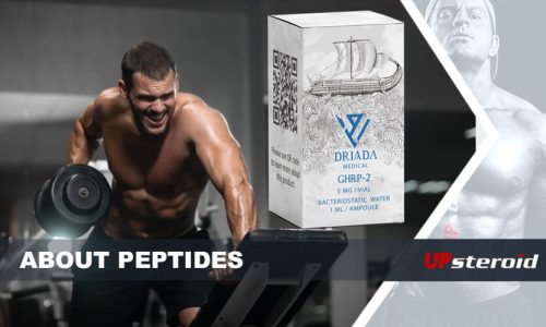 blogg om peptider