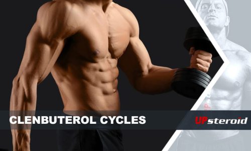 upp blogg clenbu cykel