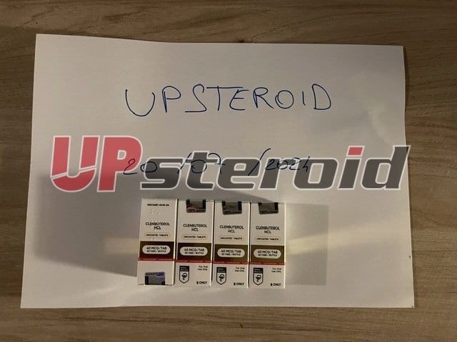 2024 07 20 669bb809706ee bild0