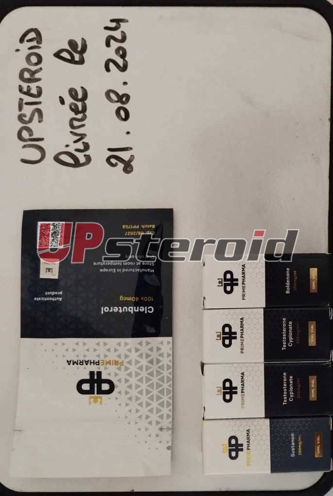 2024 08 22 66c7402cccfb7 Messenger skapande 0d43f1c6 18cf 4778 899a 755a60d58aa1