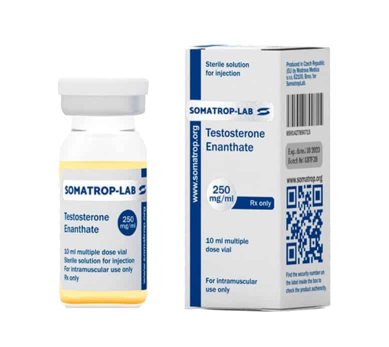 testosteron enantat 250 somatroplab