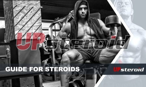 upp bloggguide steroid