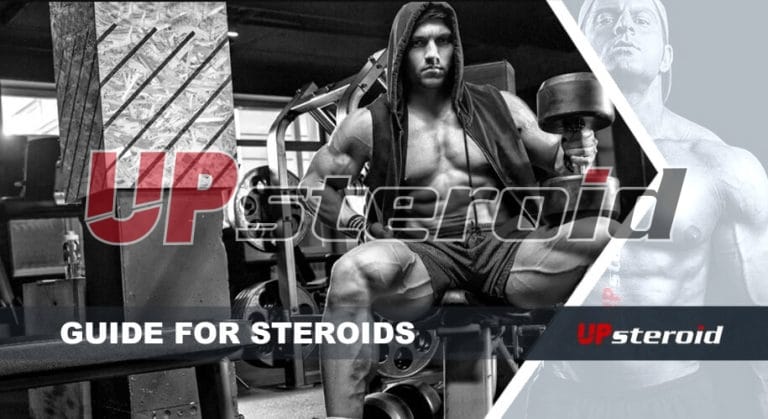 upp bloggguide steroid