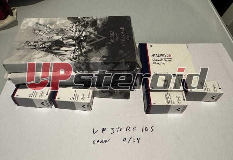 2024 09 16 66e86644ca2b6 Foto16 9 24190059