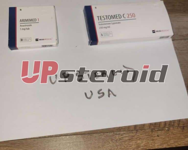 2025 10 31 6904483a59f69 Bild 2025 10 31 00 24 12