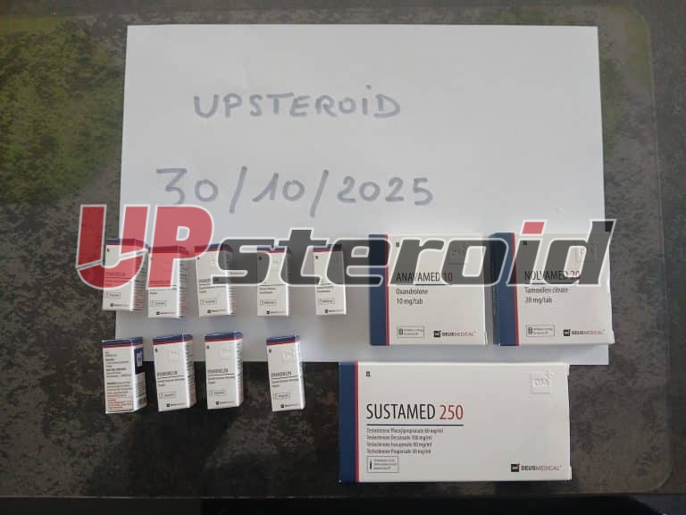 2025 11 05 690b9147cf0ec uppåt